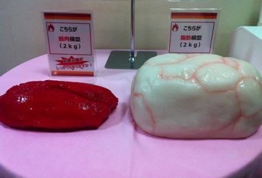 彼氏・旦那さんより体重が重い人