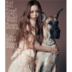 色々な犬種の画像トピ