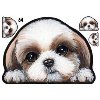 色々な犬種の画像トピ