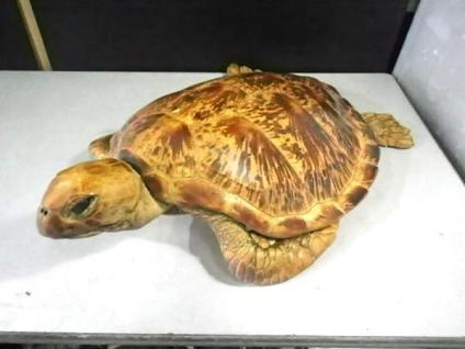 歓迎会の景品、何が欲しいですか？