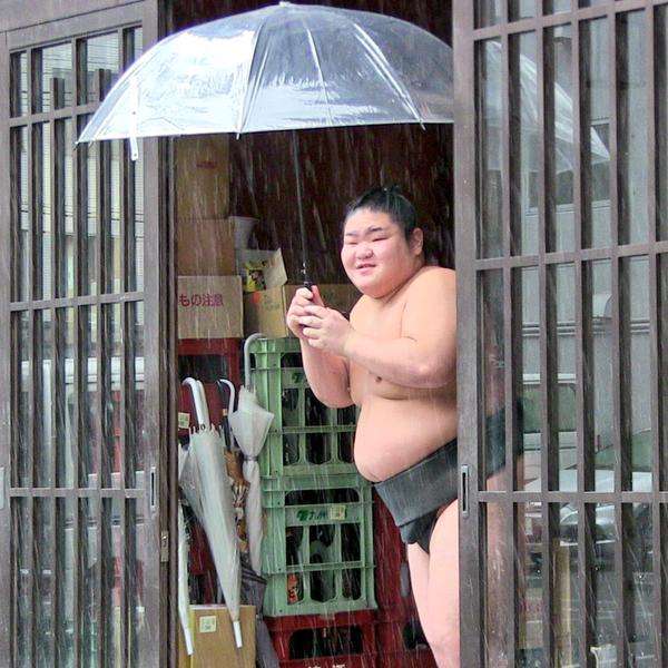 とにかく自分が癒される画像トピ