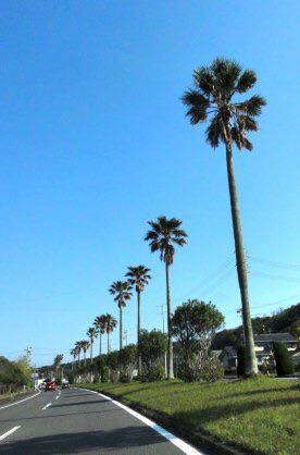 ドライブ好き集合ー！