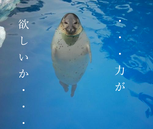 少年漫画あるある