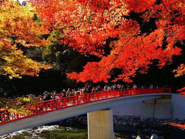 地元ならではの光景