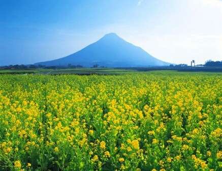 地元ならではの光景