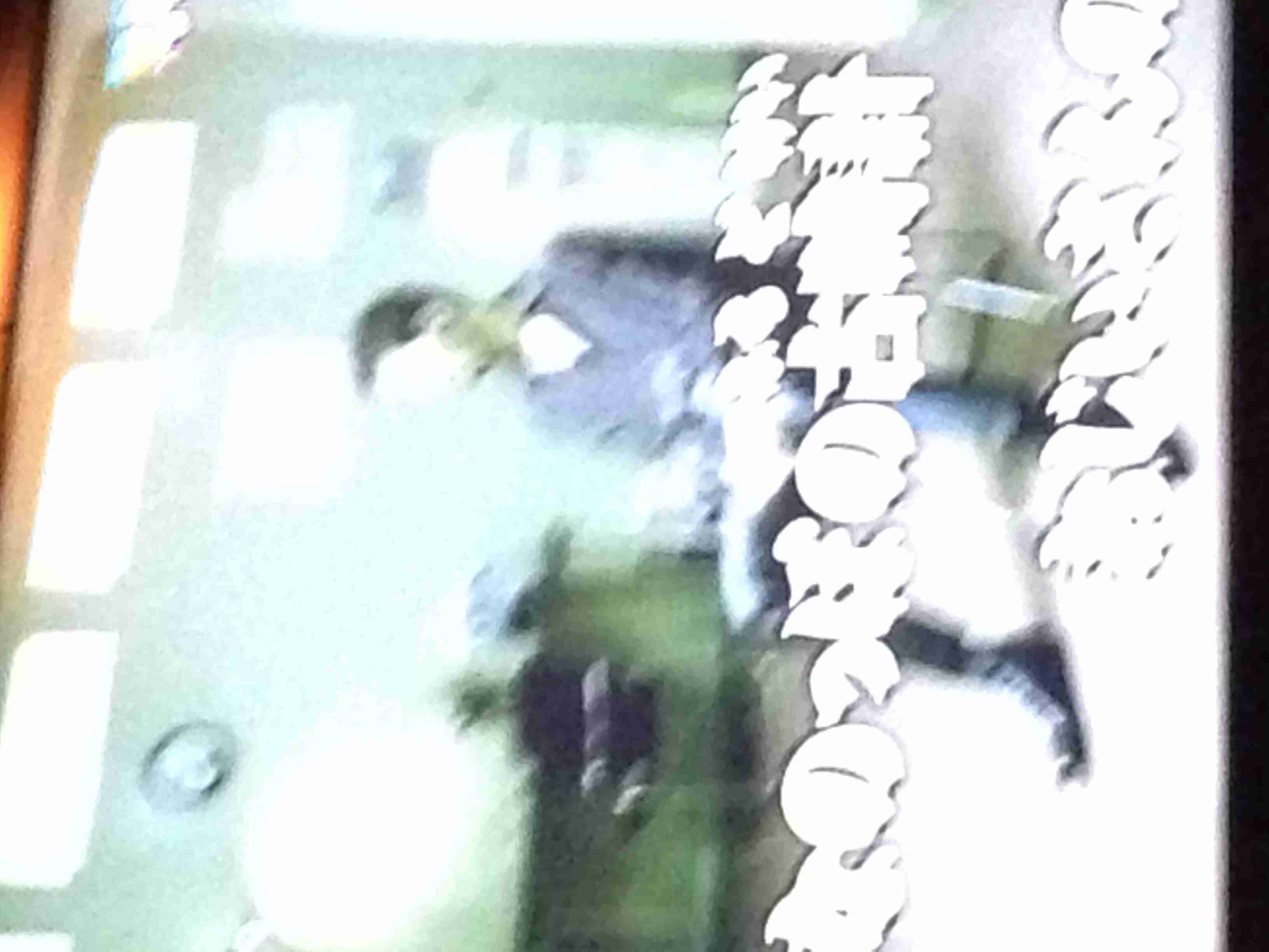 行く回数の増えたお店は？