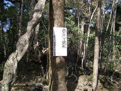 シュールな画像ください。