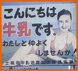 シュールな画像ください。