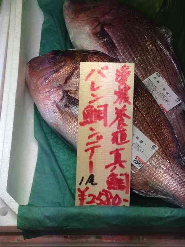 シュールな画像ください。