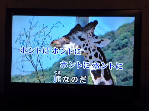 シュールな画像ください。