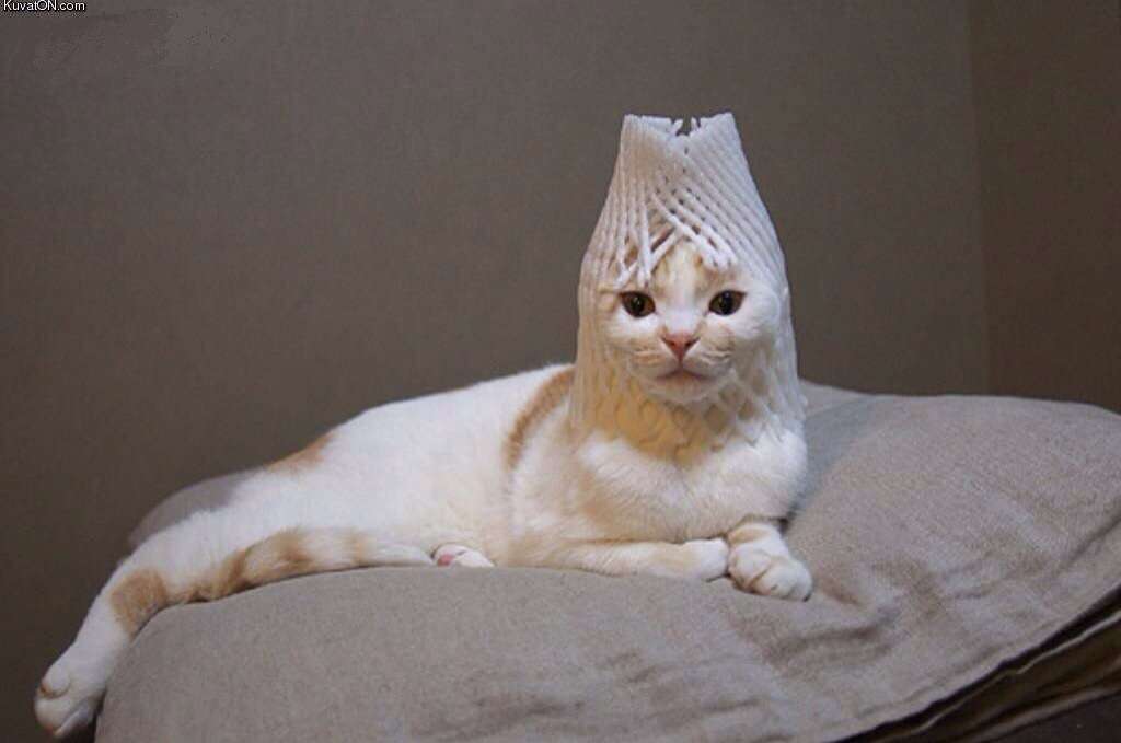 シュールな画像ください。