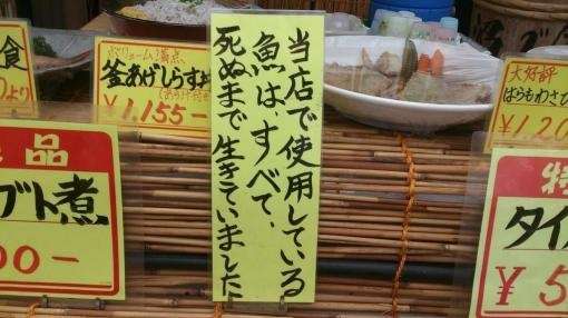 シュールな画像ください。