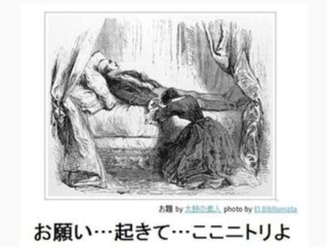 シュールな画像ください。