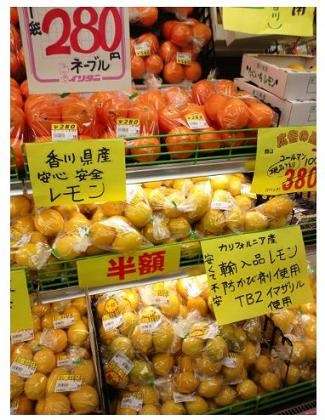 シュールな画像ください。
