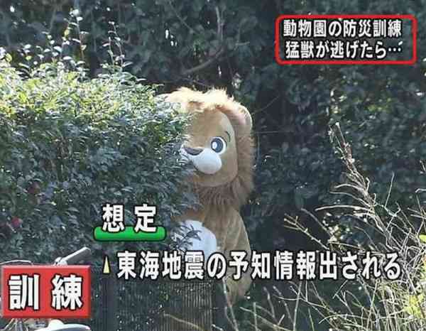 シュールな画像ください。