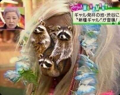 シュールな画像ください。