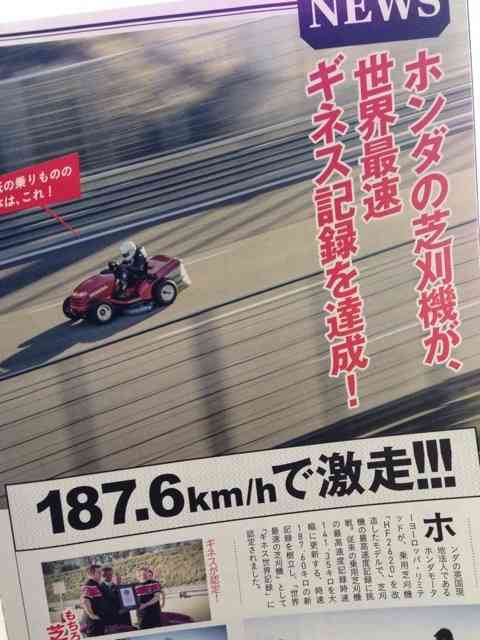 シュールな画像ください。