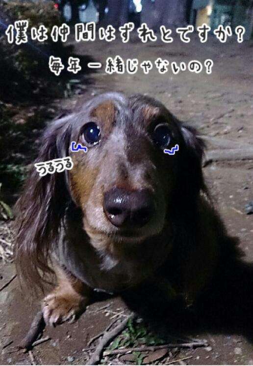 皆で花見しませんか?