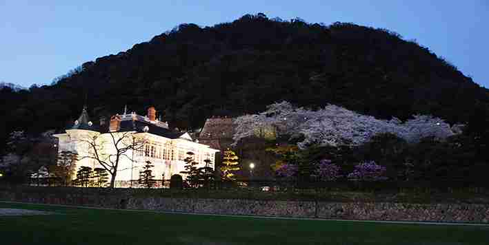 皆で花見しませんか?
