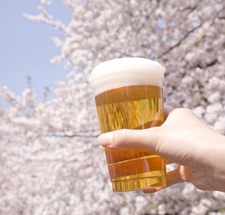 皆で花見しませんか?