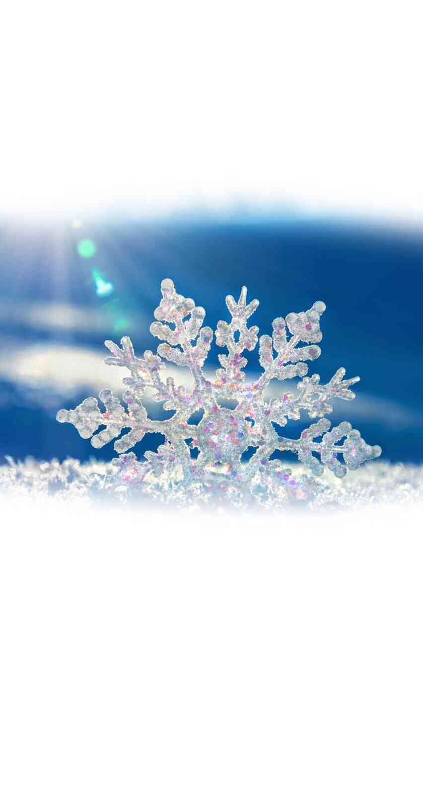 テンションの上がる画像を貼るトピ