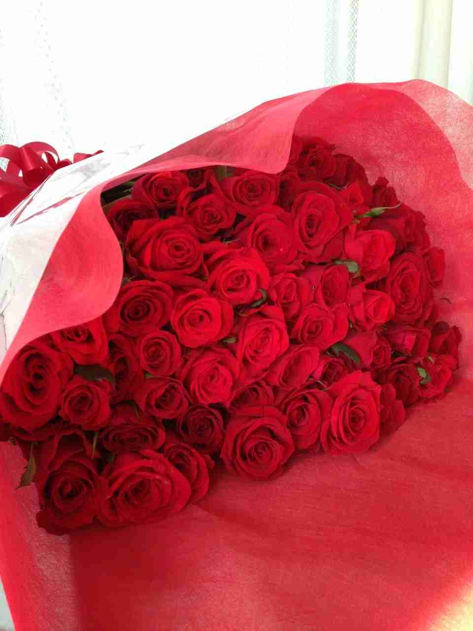 テンションの上がる画像を貼るトピ