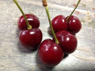 テンションの上がる画像を貼るトピ