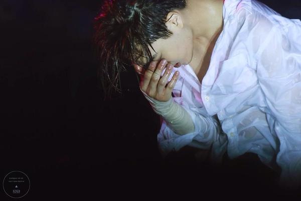 テンションの上がる画像を貼るトピ