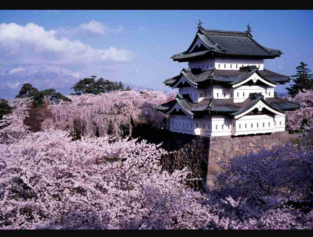 テンションの上がる画像を貼るトピ