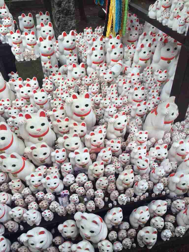 テンションの上がる画像を貼るトピ