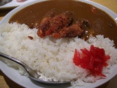 カレーに入れて美味しかった具、イマイチだった具