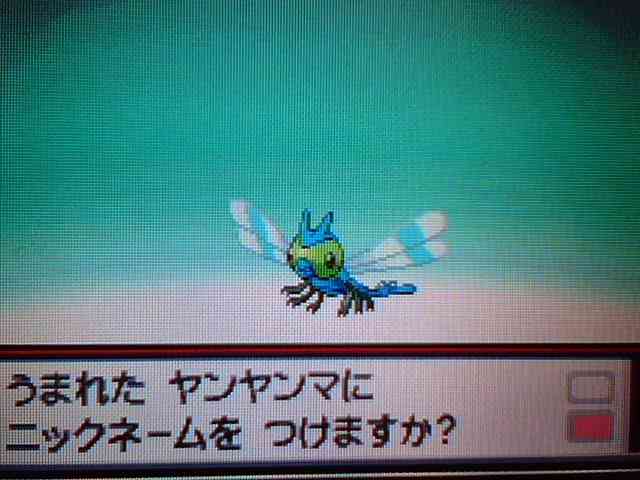 ポケモンの思い出