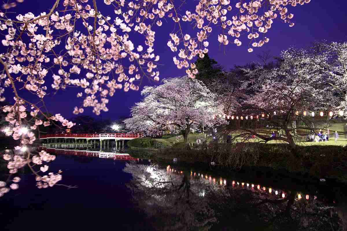 みなさんにとって桜とは？
