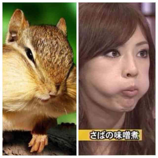 嫌いな有名人とその理由