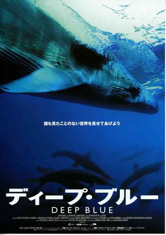 途中で寝てしまった映画