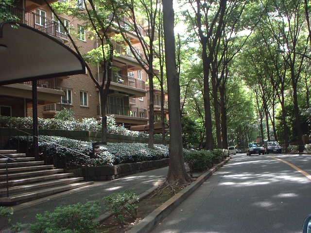 一軒家、マンションでそれぞれ良かったこと