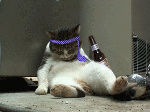 夫の飲み会の回数