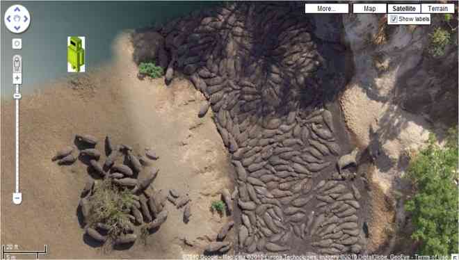 【Google Earth】グーグルアースの面白い・不思議な写真が集まるトピ！