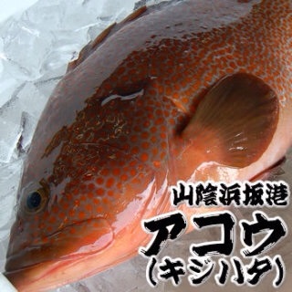 刺身好きな人♡