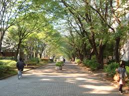 大学に抱いてた理想と現実
