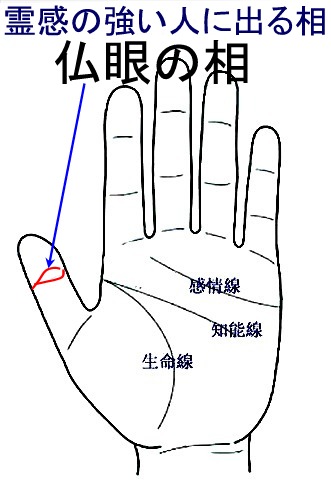 霊感をお持ちの方、集まれ〜