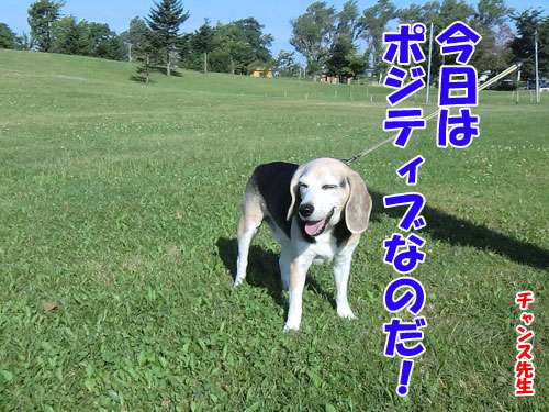 嫌だったことをプラスに変換するトピ