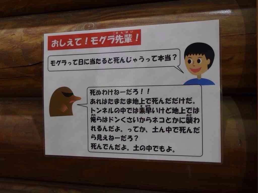 面白い・笑える放送事故の画像