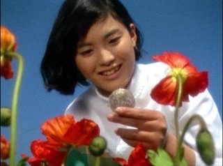 昭和を彩った美しすぎる女優のランキング