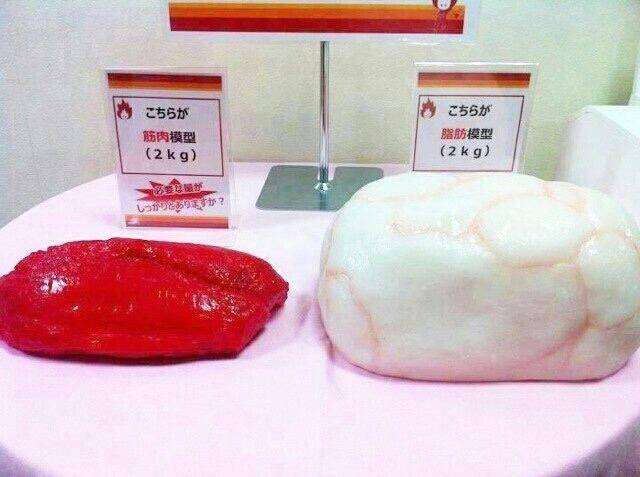 夏に向けてダイエット始めましたか？