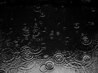 雨の休日はどうすごしますか？