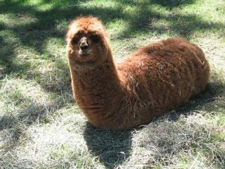 心霊写真みたいに見える画像