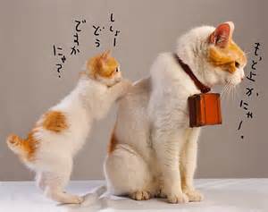 好きなCM
