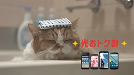 好きなCM