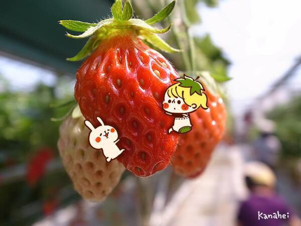 オススメのLINEスタンプ 2015春バージョン